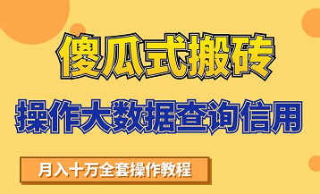 搬砖操作大数据查询信用项目赚钱教程，祝你快速月入6万-高清美女套图，你想要的都有。