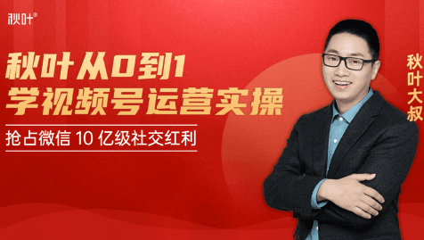 秋叶从0到1学视频号运营实操，抢占微信10亿级红利市场【完结-高清无水印】-高清美女套图，你想要的都有。