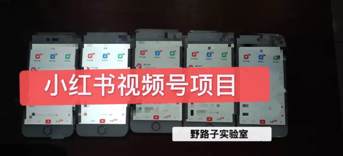 野路子小红书视频号1.0项目，直接上手操作就能赚钱的视频号项目-高清美女套图，你想要的都有。