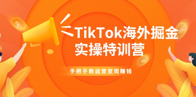 TikTok海外掘金实操特训营：手把手教运营变现赚钱-高清美女套图，你想要的都有。