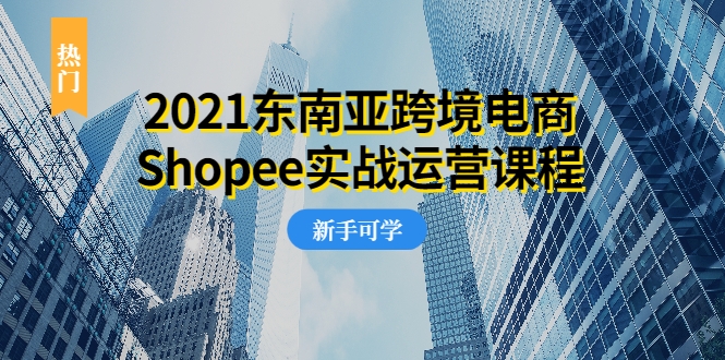 2021东南亚跨境电商Shopee实战运营课程，0基础、0经验、0投资的副业项目-高清美女套图，你想要的都有。