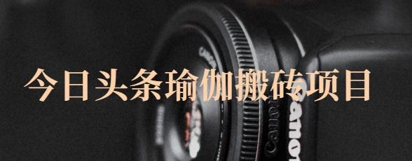 猎人社区·今日头条瑜伽搬砖项目，单号一天几十收入，可以批量操作！-高清美女套图，你想要的都有。