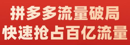 阿杰·拼多多流量破局:如何打黑标，爆款的思路，拼多多流量框架，快速抢占百亿流量-高清美女套图，你想要的都有。