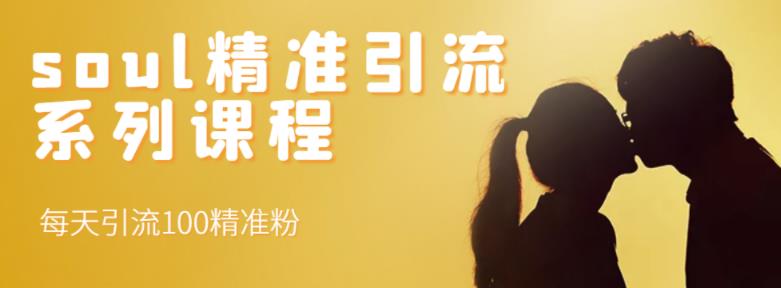 soul精准引流系列课程，每天引流100精准粉-高清美女套图，你想要的都有。