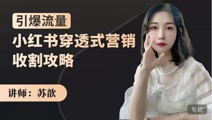 苏歆：小红书穿透式营销收割攻略，引爆流量，助你玩转小红书-高清美女套图，你想要的都有。