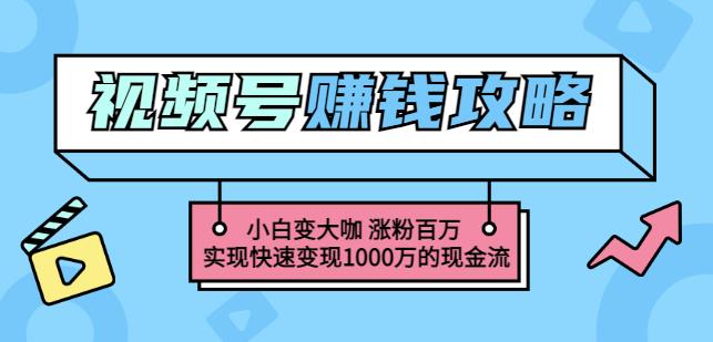 玩转微信视频号赚钱：小白变大咖涨粉百万实现快速变现1000万的现金流-高清美女套图，你想要的都有。