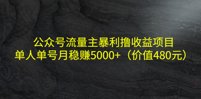 公众号流量主暴利撸收益项目，单人单号月稳赚5000+（价值480元）-高清美女套图，你想要的都有。