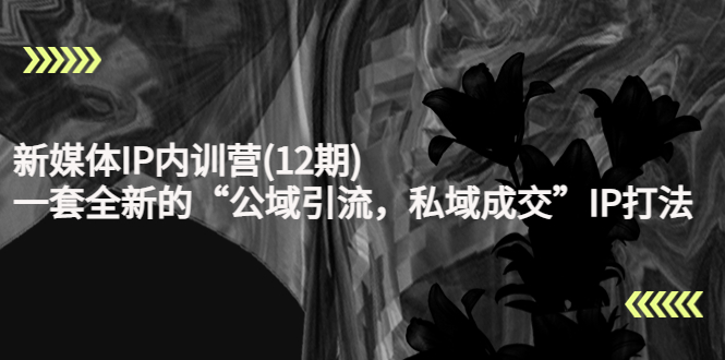 新媒体IP内训营(12期)，一套全新的“公域引流，私域成交”IP打法，直接带走-高清美女套图，你想要的都有。