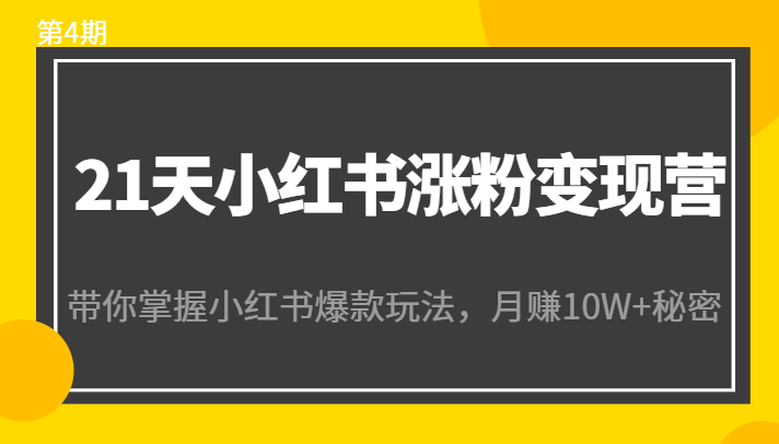 21天小红书涨粉变现营（第4期）：带你掌握小红书爆款玩法，月赚10W+秘密-高清美女套图，你想要的都有。