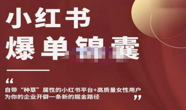 小红书爆单锦囊，自带种草属性+高质量女性用户，为你的企业开辟一条新的掘金路径-高清美女套图，你想要的都有。