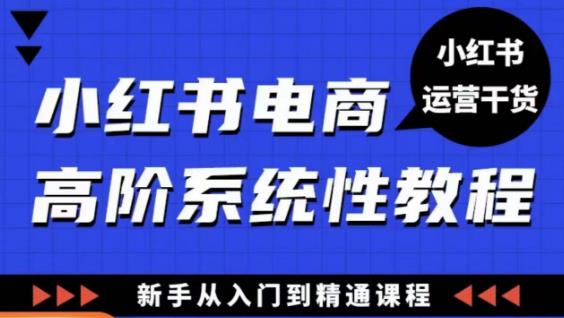 小红书电商高阶系统教程，新手从入门到精通系统课-高清美女套图，你想要的都有。