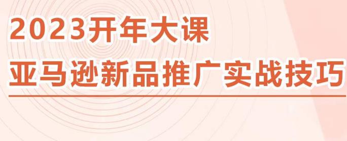 2023亚马逊新品推广实战技巧，线下百万美金课程的精简版，简单粗暴可复制，实操性强的推广手段-高清美女套图，你想要的都有。