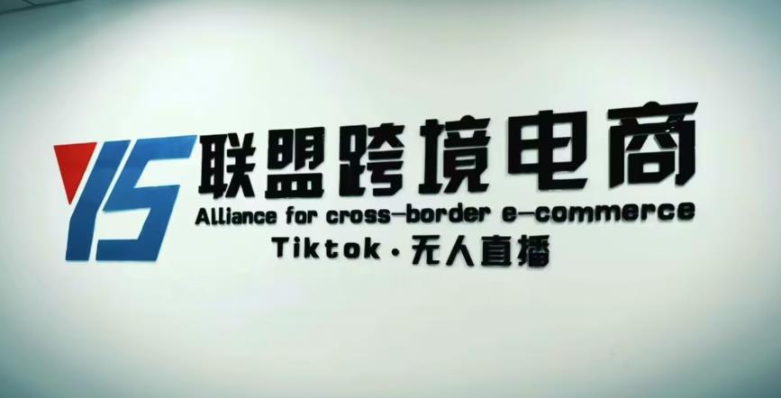 YS联盟·Tiktok无人直播，不出镜不剪辑不拍摄不发货无售后的跨境短视频躺赚玩法-高清美女套图，你想要的都有。