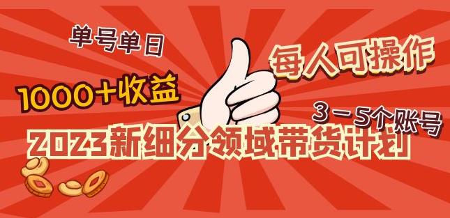 2023新细分领域带货计划：单号单日1000+收益不难，每人可操作3-5个账号-高清美女套图，你想要的都有。
