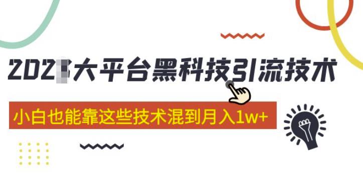 大平台黑科技引流技术，小白也能靠这些技术混到月入1w+(2022年的课程）-高清美女套图，你想要的都有。