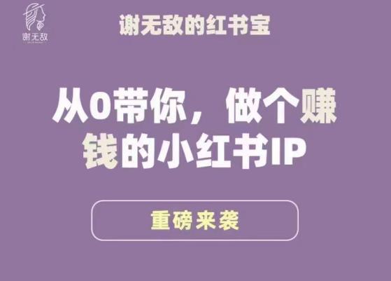 谢无敌·小红书运营大宝典，从0带你做个赚钱的小红书IP-高清美女套图，你想要的都有。