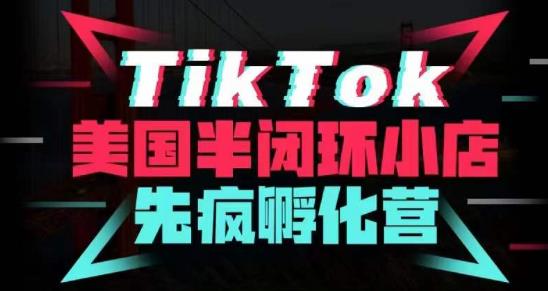 疯人院·TikTok美国半闭环小店孵化营，抢占TikTok美国蓝海市场，开店、运营、带货、投流全实操-高清美女套图，你想要的都有。