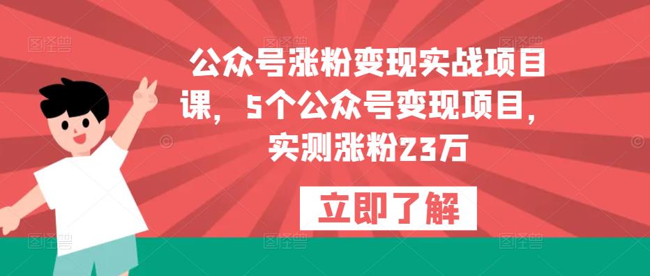 公众号涨粉变现实战项目课，5个公众号变现项目，实测涨粉23万-高清美女套图，你想要的都有。