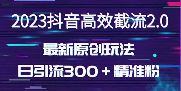 日引300＋创业粉，独家抖音高效截流2.0玩法（价值1280）-高清美女套图，你想要的都有。