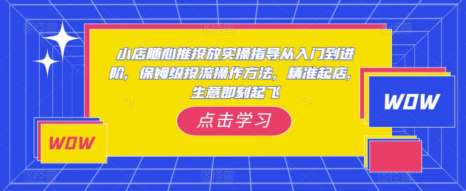 小店随心推投放实操指导从入门到进阶，保姆级投流操作方法，精准起店，生意即刻起飞-高清美女套图，你想要的都有。