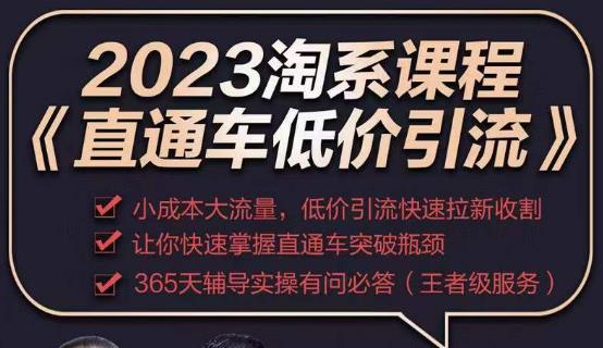 2023直通车低价引流玩法课程，小成本大流量，低价引流快速拉新收割，让你快速掌握直通车突破瓶颈-高清美女套图，你想要的都有。