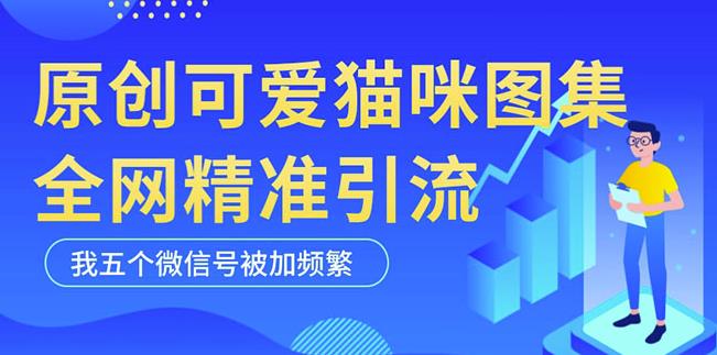 黑科技纯原创可爱猫咪图片，全网精准引流，实操5个VX号被加频繁-高清美女套图，你想要的都有。