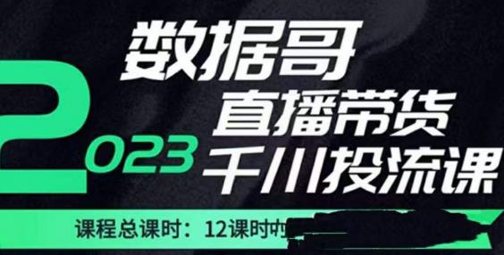 数据哥2023直播电商巨量千川付费投流实操课，快速掌握直播带货运营投放策略-高清美女套图，你想要的都有。