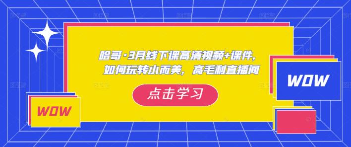 哈哥·3月线下实操课高清视频+课件，如何玩转小而美，高毛利直播间-高清美女套图，你想要的都有。