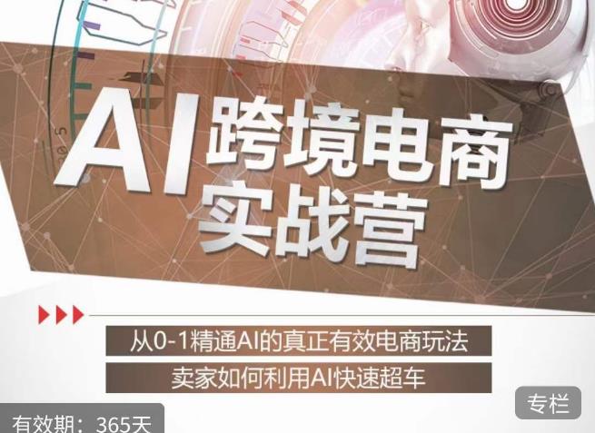 白龙老师·AI跨境电商实战营：从0-1精通Al的真正有效电商玩法，卖家如何利用Al快速超车-高清美女套图，你想要的都有。