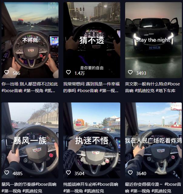 抖音开车视频项目，0基础操作，每天五分钟，月入1W+【揭秘】-高清美女套图，你想要的都有。