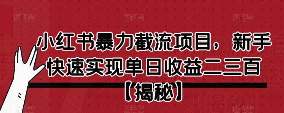 小红书暴力截流项目，新手快速实现单日收益二三百【仅揭秘】-高清美女套图，你想要的都有。