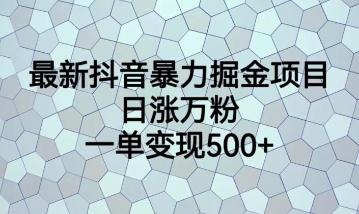 最新抖音暴力掘金项目，日涨万粉，一单变现500+【揭秘】-高清美女套图，你想要的都有。