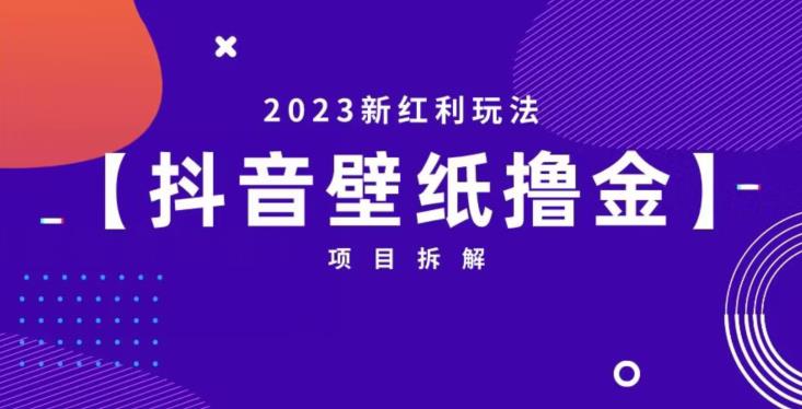 抖音壁纸小程序创作者撸金项目，2023新红利玩法【项目拆解】-高清美女套图，你想要的都有。