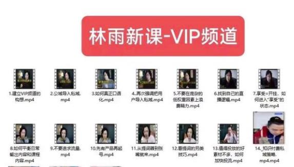 林雨新课VIP频道，玩赚私域/朋友圈/社群-高清美女套图，你想要的都有。
