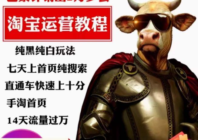 猫老师·淘系算法逆向解密，​纯黑纯白玩法，七天上首页纯搜索，手淘首页14天流量过万-高清美女套图，你想要的都有。