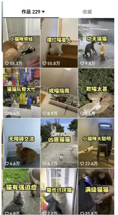 拆解抖音盘点类中视频变现副业项目，视频版一条龙大解析分享给你【视频课程】-高清美女套图，你想要的都有。