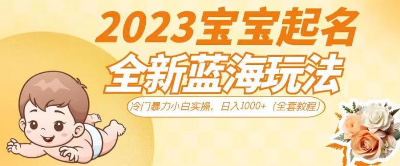 2023宝宝起名全新蓝海玩法，冷门暴力小白实操，日入1000+（全套教程）【揭秘】-高清美女套图，你想要的都有。
