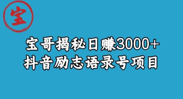 宝哥揭秘日赚3000+抖音励志语录号短视频变现项目-高清美女套图,你想要的都有。