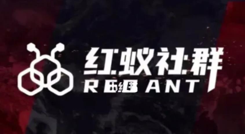 社群运营：红蚁社群【48节落地系统课程+2000人高端社群】-高清美女套图，你想要的都有。