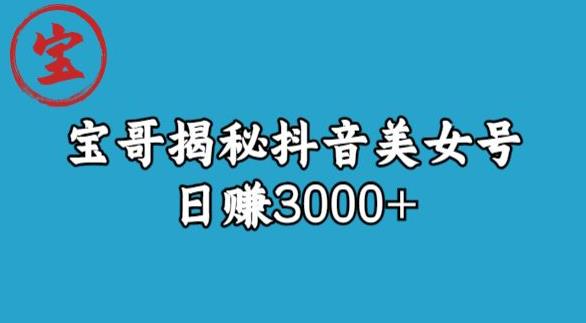 宝哥揭秘抖音美女号玩法，日赚3000+【揭秘】-高清美女套图，你想要的都有。