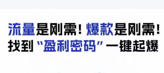 电商盈利精品课：6大盈利密码让产品更好卖，流量是刚需！爆款是刚需！找到”盈利密码”一键起爆-高清美女套图，你想要的都有。