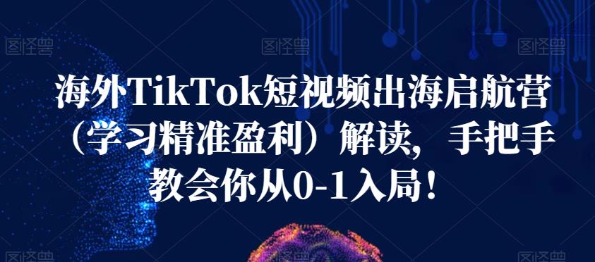 海外TikTok短视频出海启航营（学习精准盈利）解读，手把手教会你从0-1入局！-高清美女套图，你想要的都有。