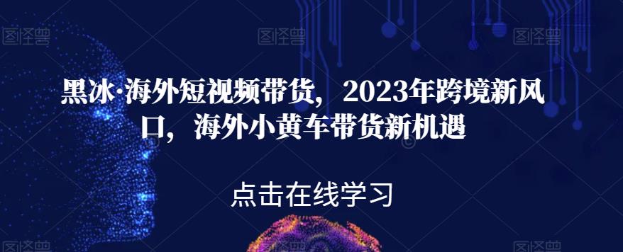 黑冰·海外短视频带货，2023年跨境新风口，海外小黄车带货新机遇-高清美女套图，你想要的都有。