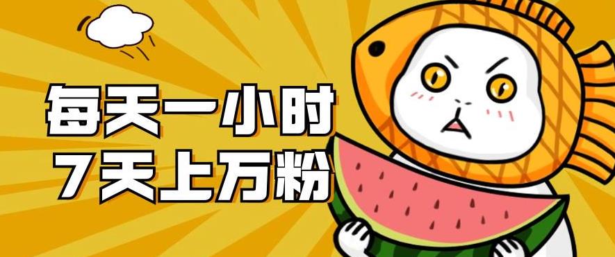 暴力涨粉项目：每天一小时，七天上万粉【揭秘】-高清美女套图，你想要的都有。