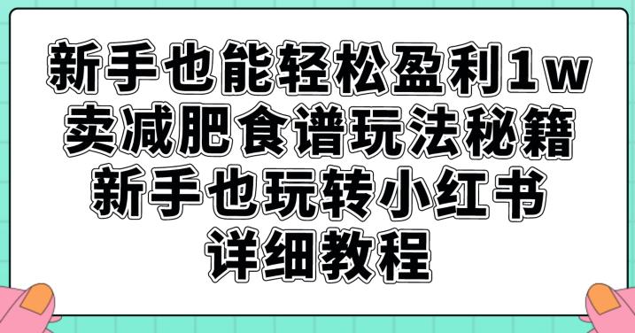 新手也能轻松盈利1w，卖减肥食谱玩法秘籍，新手也玩转小红书详细教程【揭秘】-高清美女套图，你想要的都有。