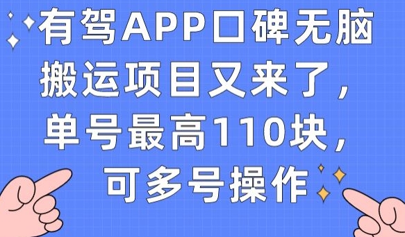 有驾APP口碑无脑搬运项目又来了，单号最高110块，可多号操作-高清美女套图，你想要的都有。