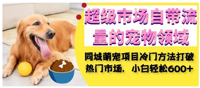 超级市场自带流量的宠物领域，同城萌宠项目冷门方法打破热门市场，小白轻松600+-高清美女套图，你想要的都有。