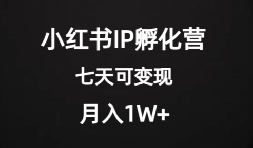 价值2000+的小红书IP孵化营项目，超级大蓝海，七天即可开始变现，稳定月入1W+-高清美女套图，你想要的都有。