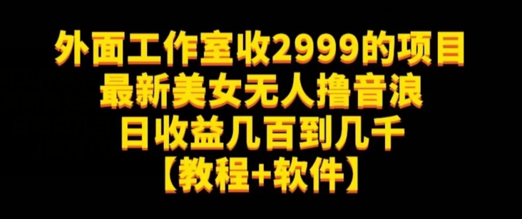 外面工作室收2999的项目最新美女无人撸音浪日收益几百到几千【教程+软件】（仅揭秘）-高清美女套图，你想要的都有。