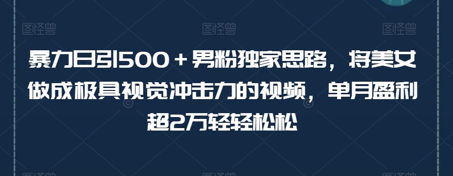 暴力日引500＋男粉独家思路，将美女做成极具视觉冲击力的视频，单月盈利超2万轻轻松松-高清美女套图，你想要的都有。